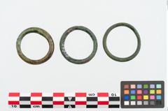 Foto von Bronzering (NHMW-PRAE-024939)